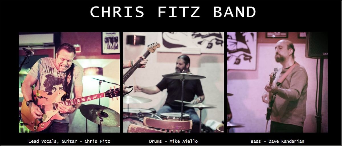 The Chris Fitz Band