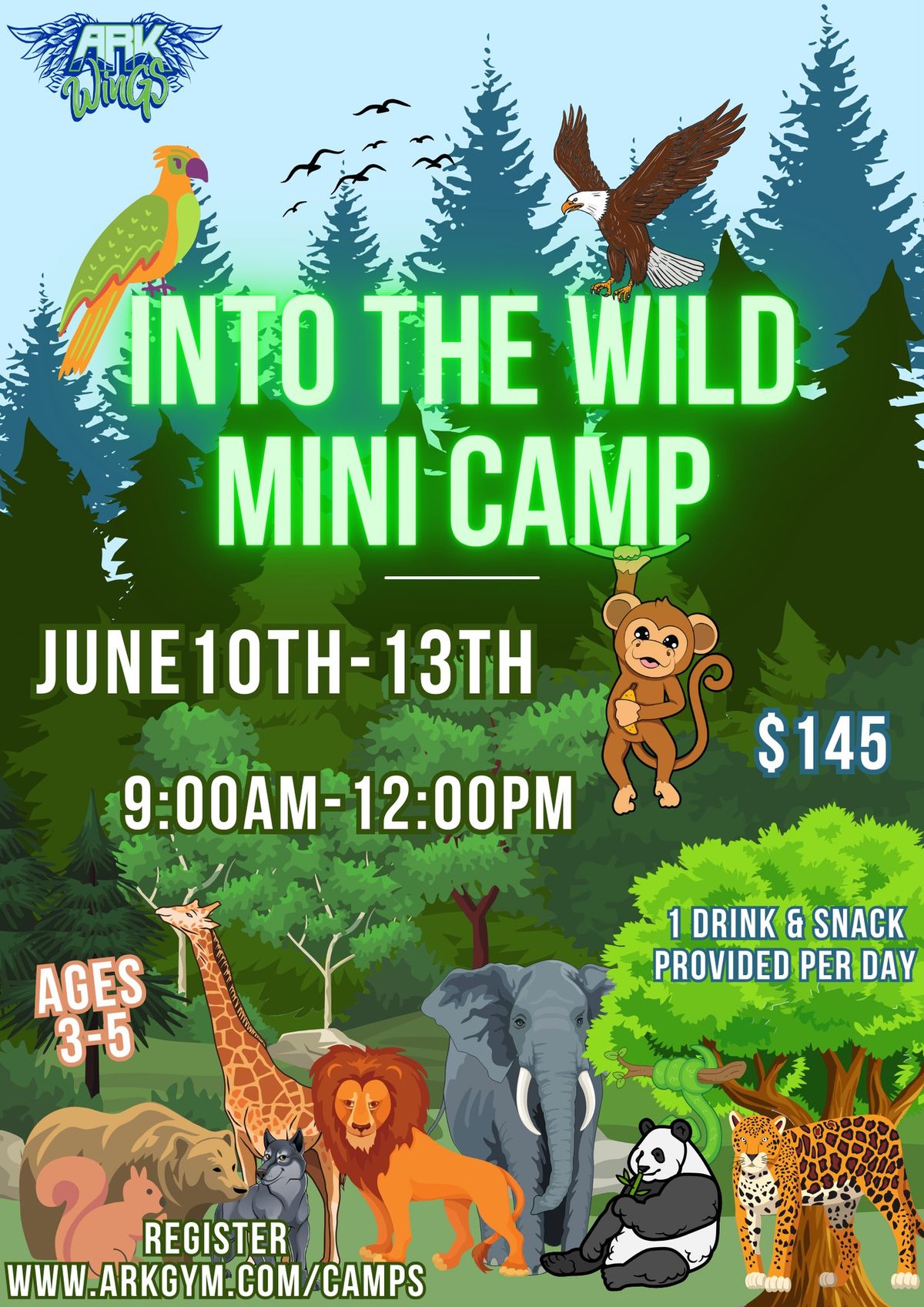 ARK WinGS Gym - Into The Wild Mini Summer Camp!
