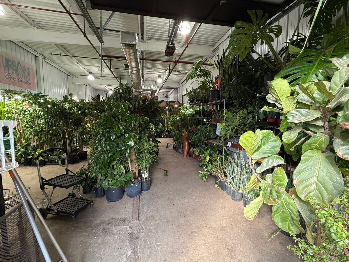 Warehouse MOVING Plant Sale! 1\/18