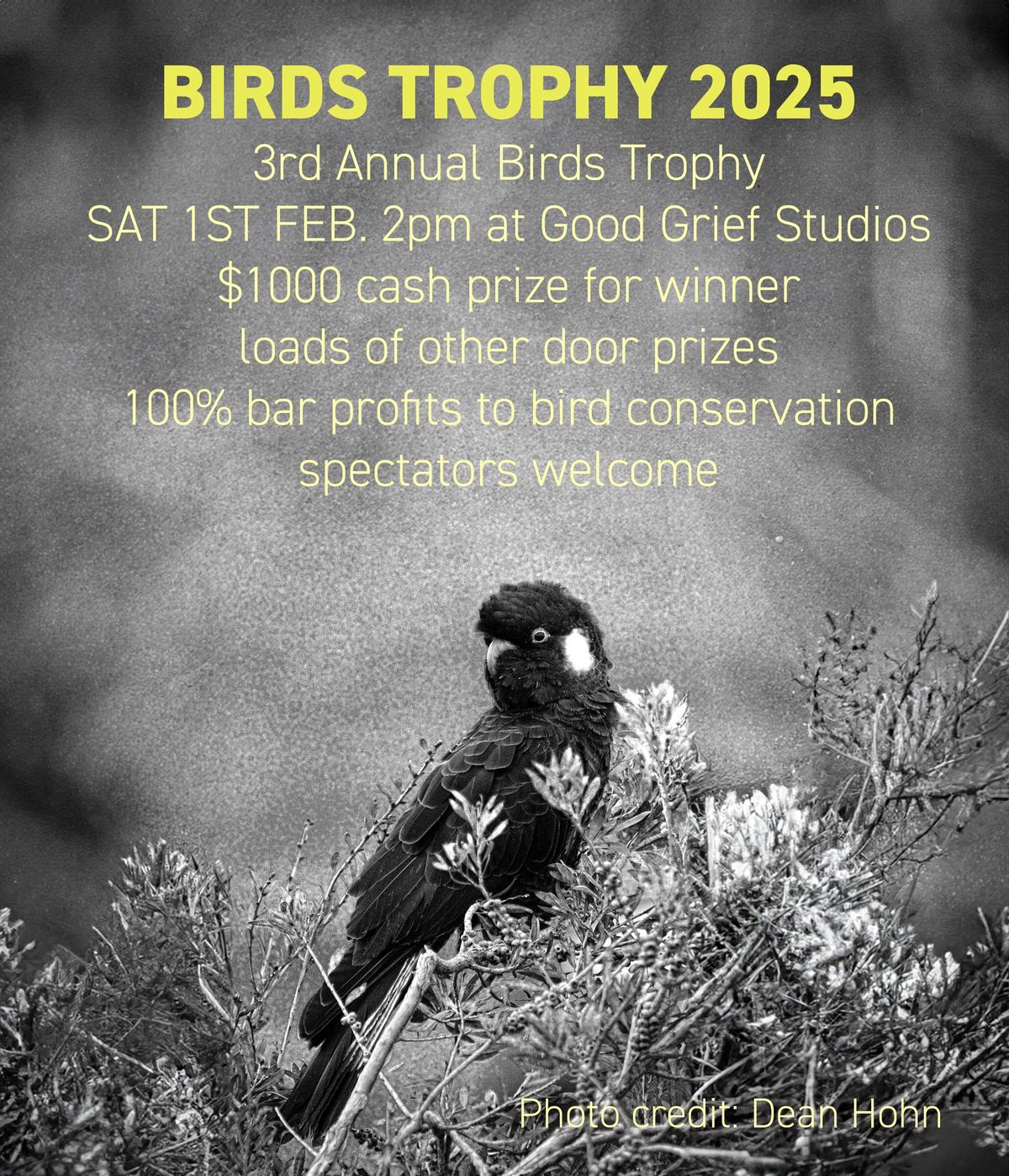 Birds Trophy 2025