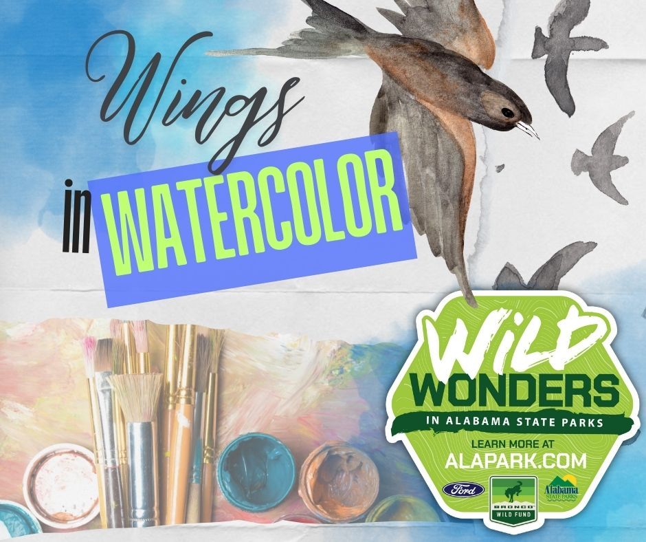 Wild Wonders: Art in the Park: Wings in Watercolor