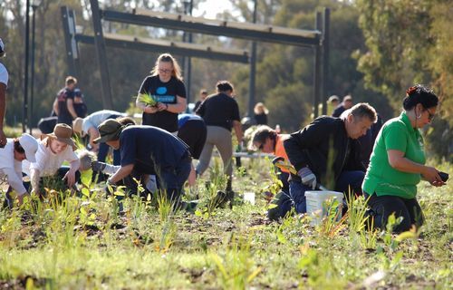 RESCHEDULED - City of Gosnells - National Tree Day, Shreeve Rd, Canning ...