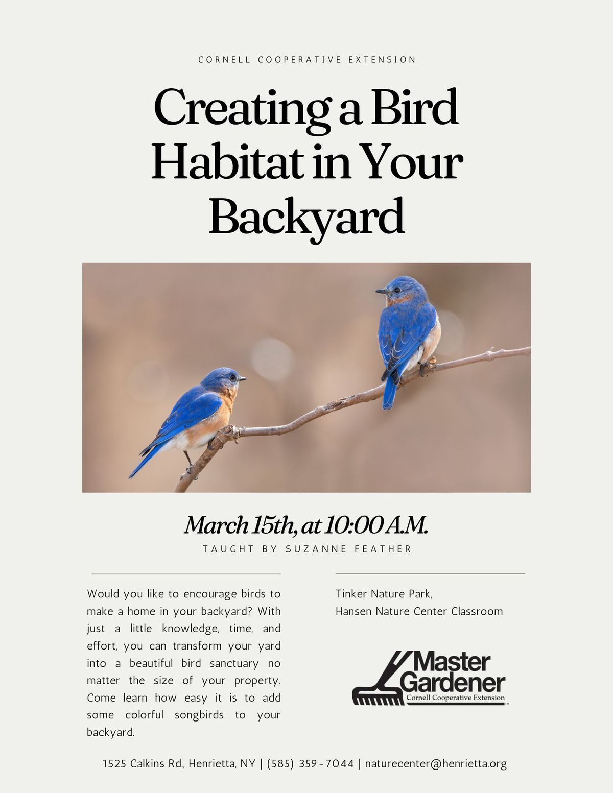 Creating a Bird Habitat in Your Backyard