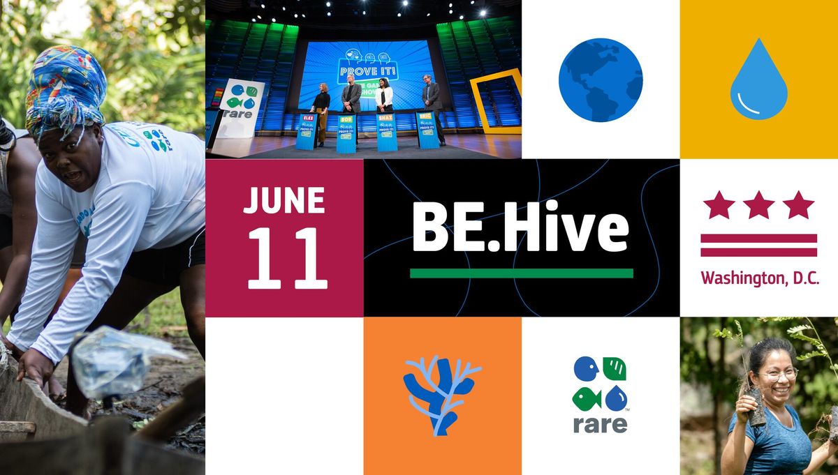 BE.Hive: Behavioral Insights to Environmental Impacts