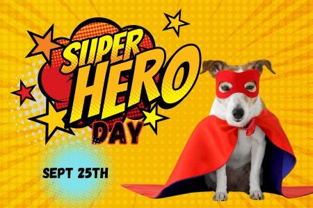 Superhero Day @ Dogtopia