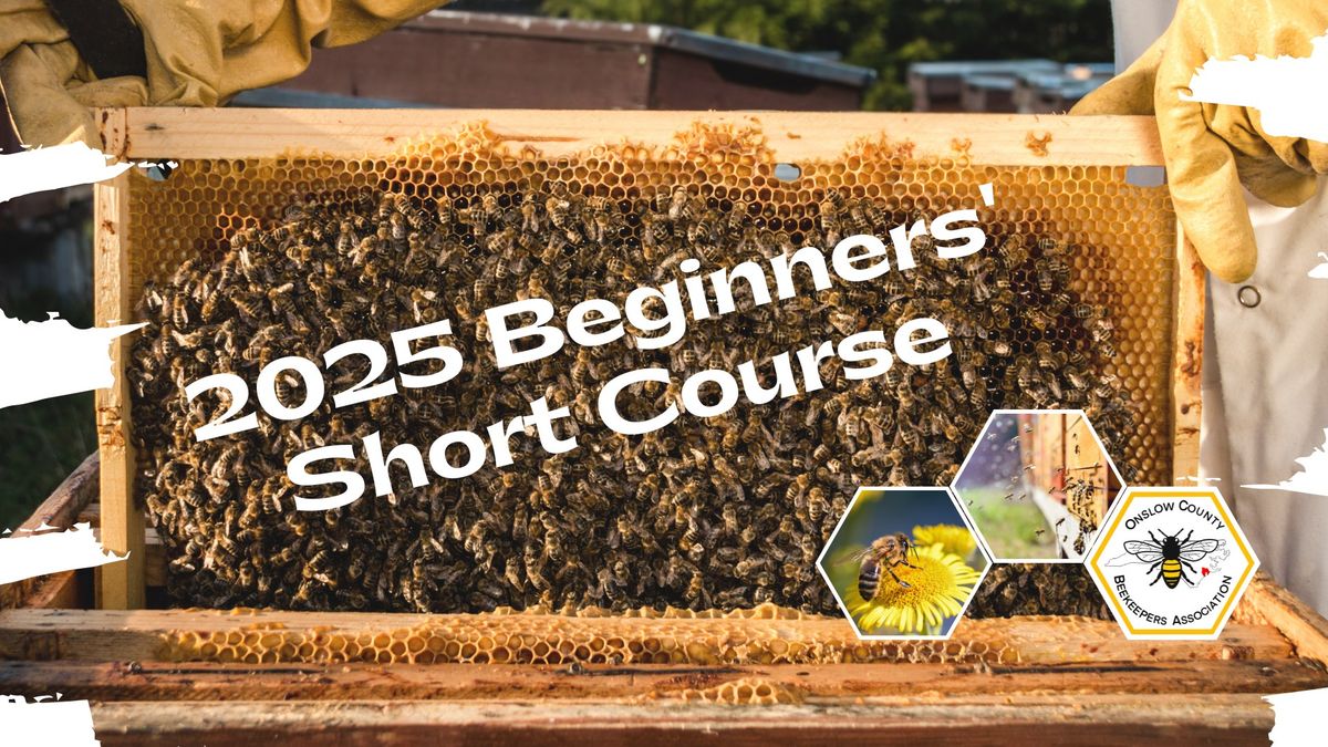 2025 Beginners Shortcourse