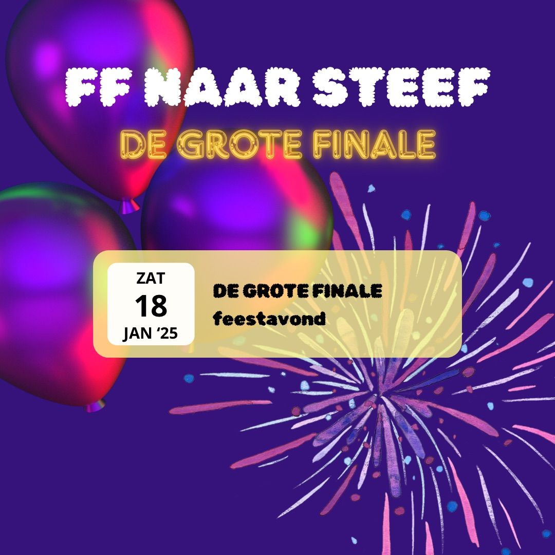 De Grote Finale - feestavond