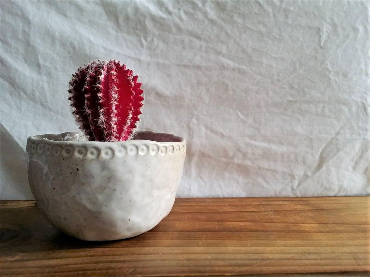 Mini Planter | Pottery Workshop w\/ Siriporn Falcon-Grey