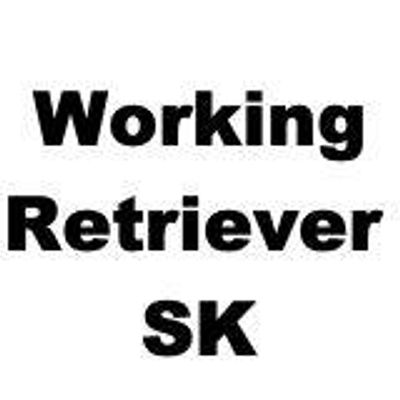 Working Retriever SK