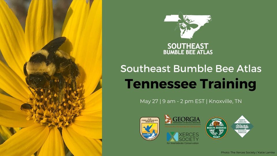 Southeast Bumble Bee Atlas Training Workshop - Tennessee 