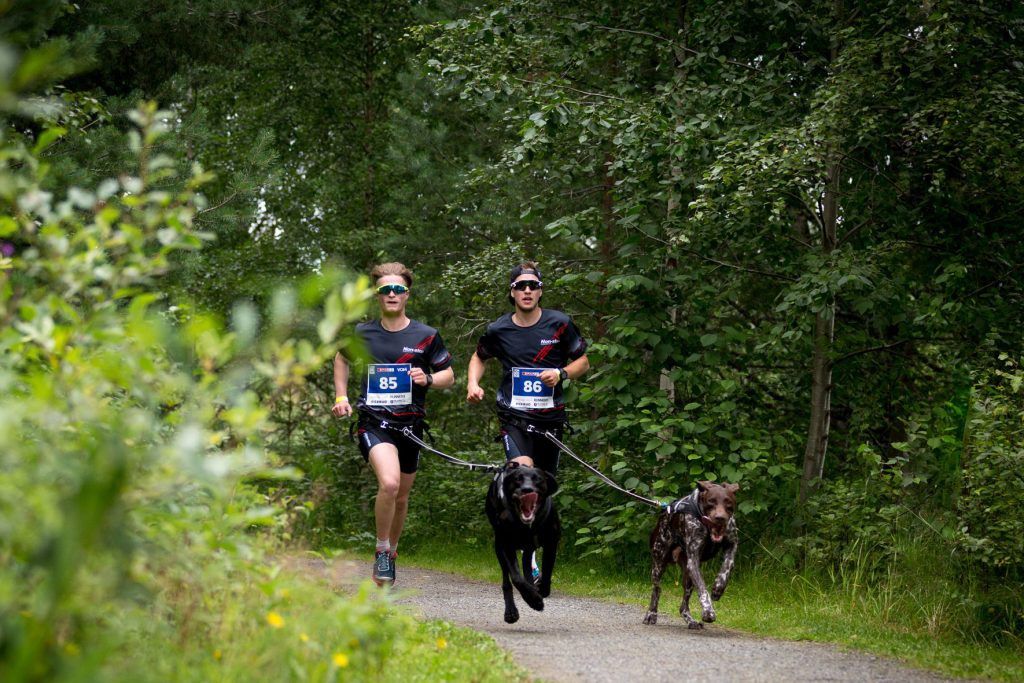 VOM Dogrun Hamar 2025