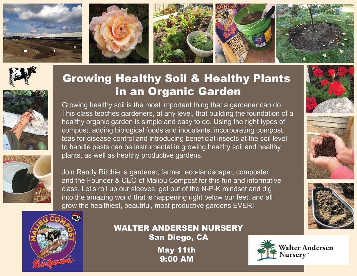 Growing Healthy Soil & Healthy Plants in an Organic Garden