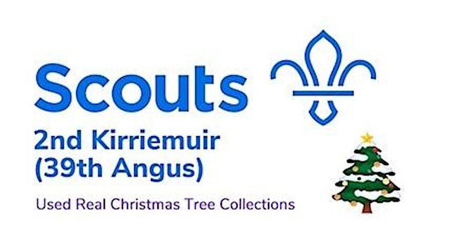 Christmas Tree collections