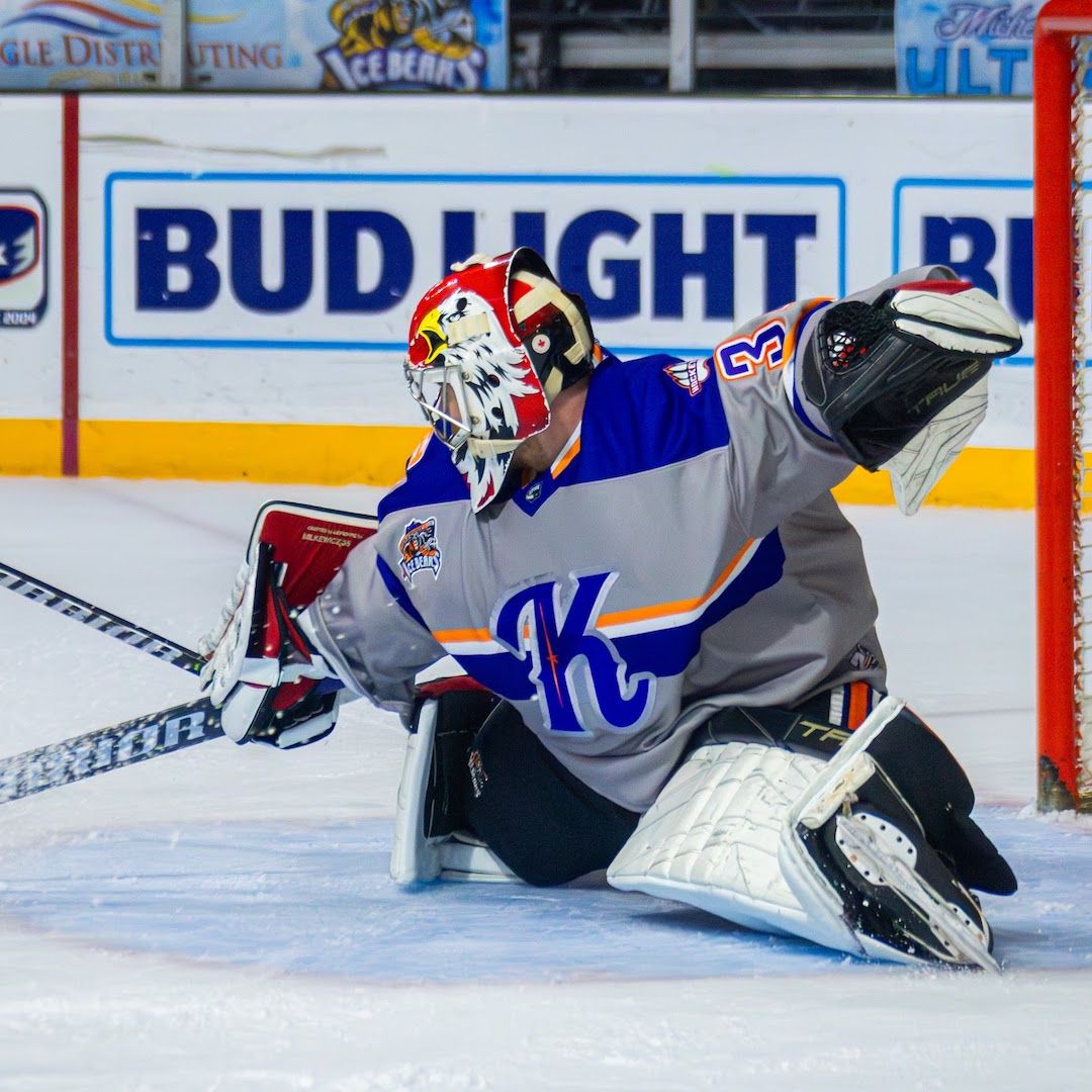 Quad City Storm at Knoxville Ice Bears