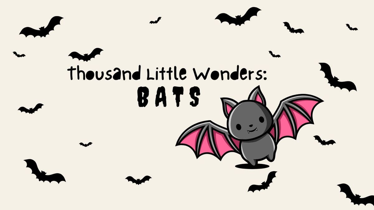 1000 Little Wonders - Bats