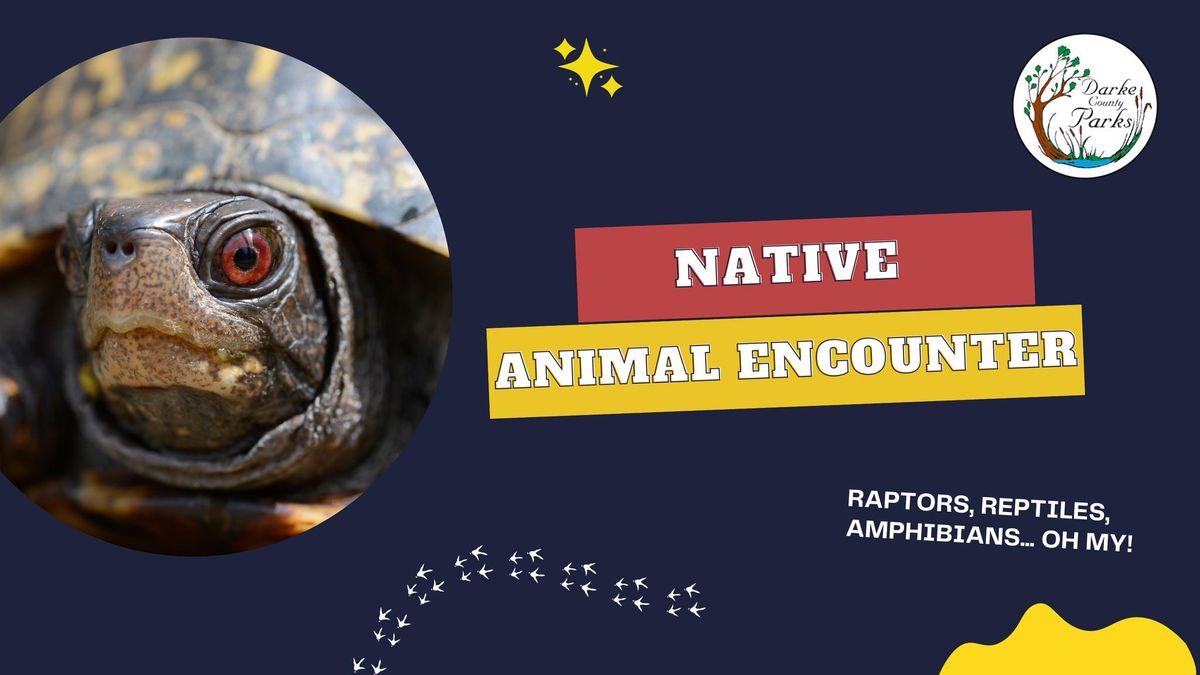 Native Animal Encounter