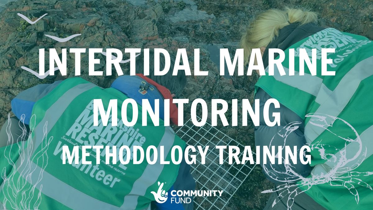 Intertidal Marine Monitoring Methodology Training 