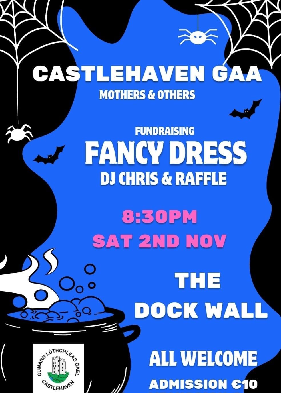 Castlehaven GAA  Mothers  & Others Fancy Dress Fundraiser 