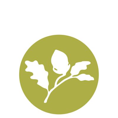 The Acorn Nursery School