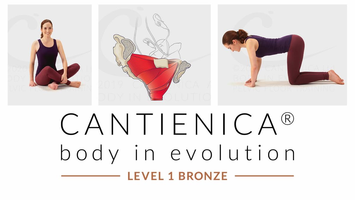 CANTIENICA\u00ae - trening dna miednicy, basic