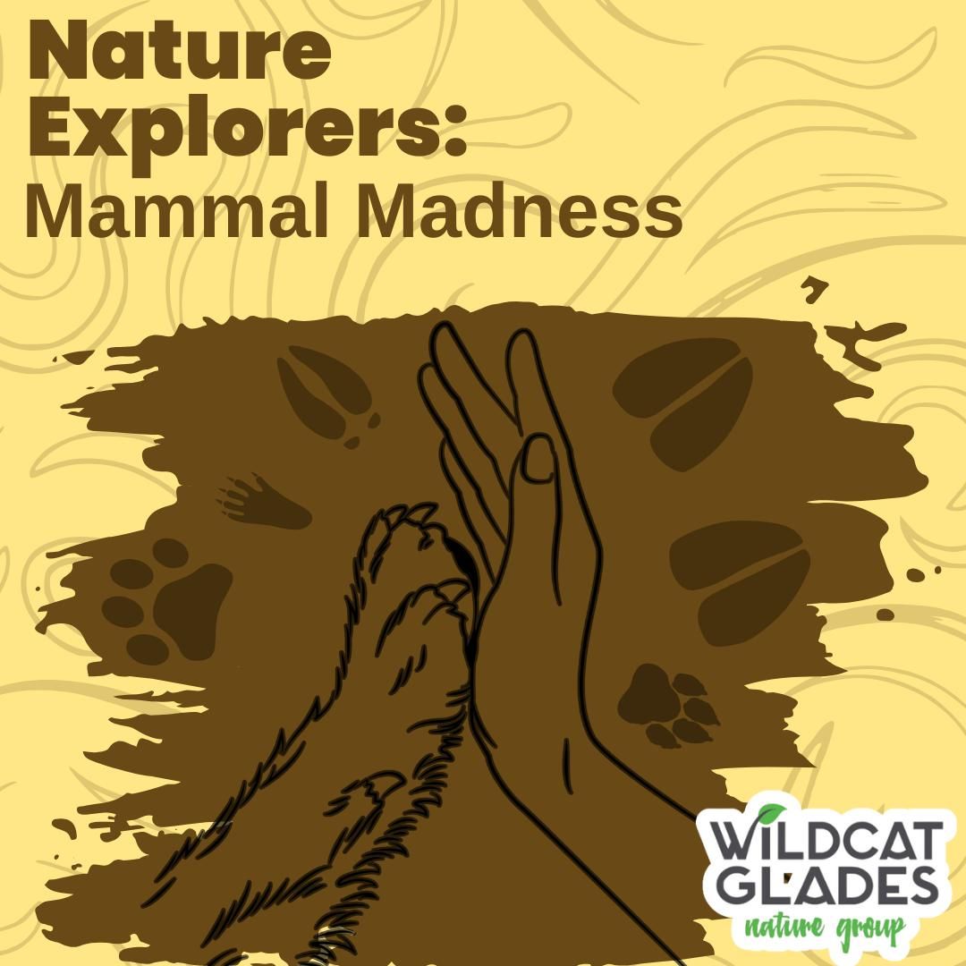 Nature Explorers: Mammal Madness