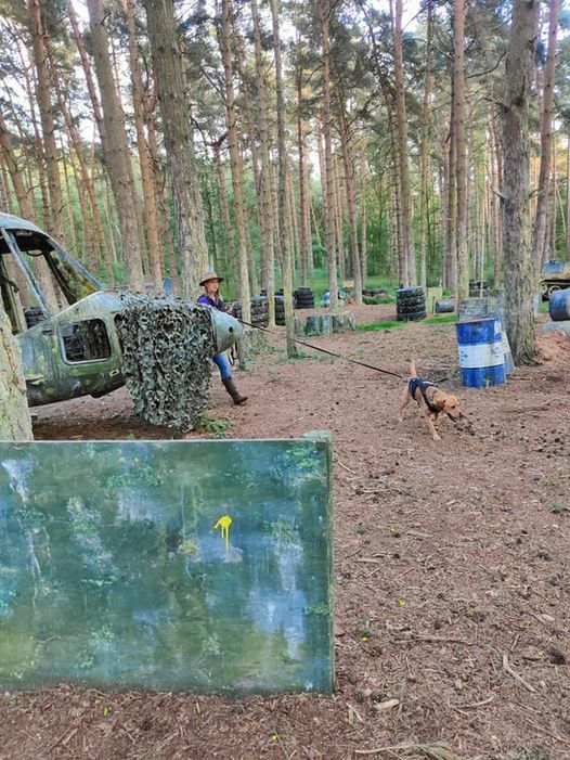 Dead Zone - Mantrailing Paintball Park DY103NN