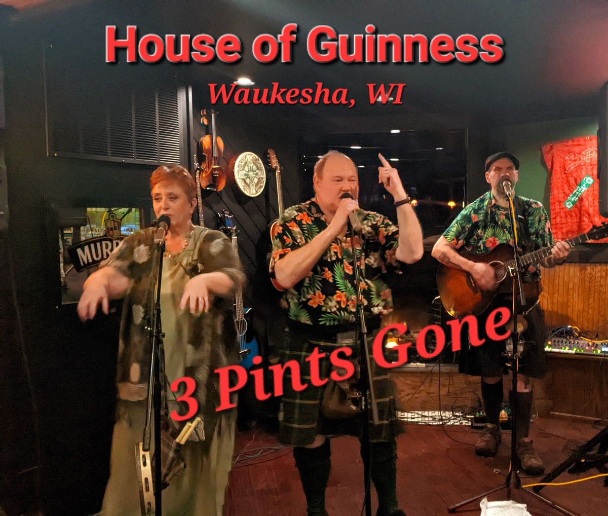 3 Pints Gone: Sat. Jan. 11th -House of Guinness 8pm, Waukesha, WI