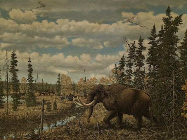 Mammals of Illinois' Ice Age