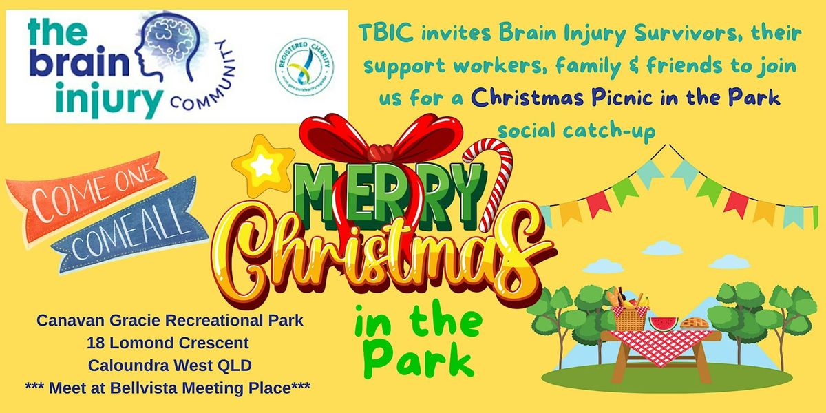 TBIC Christmas Picnic in the Park - Caloundra West