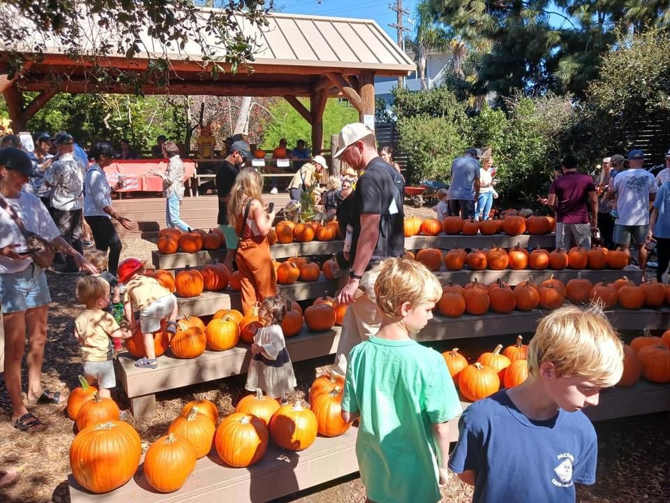 Sweetwater Creek Band At Fall Faire