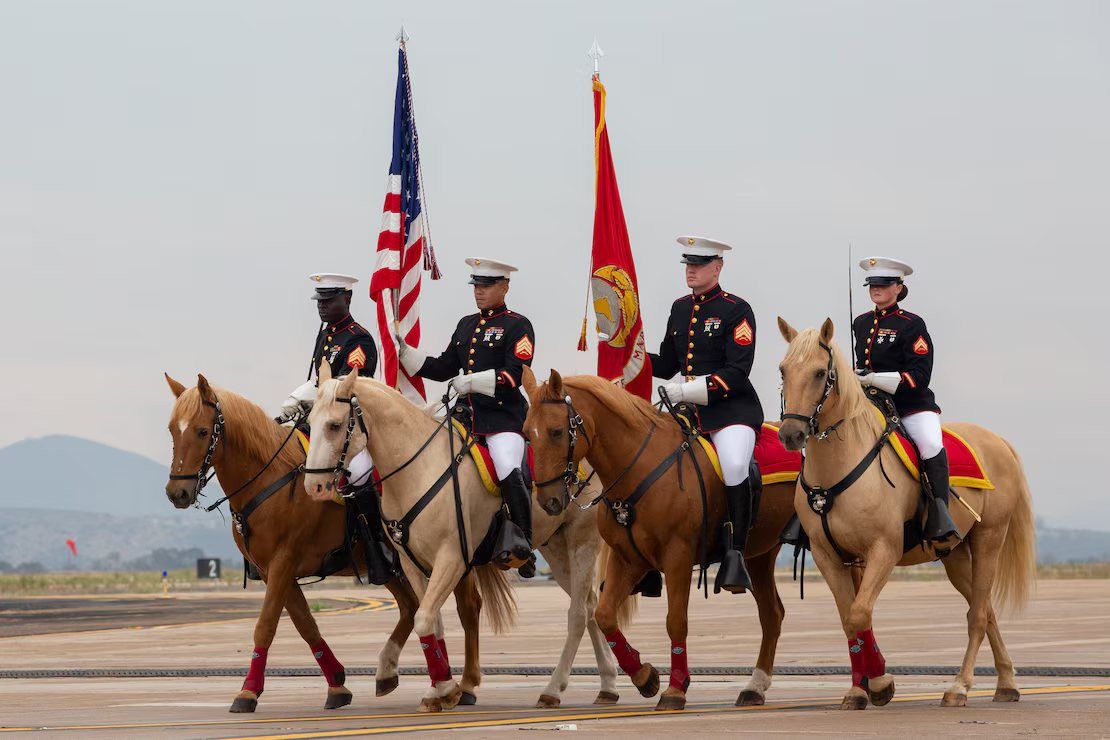 Meet the USMC Mounted Color Guard! ??? 