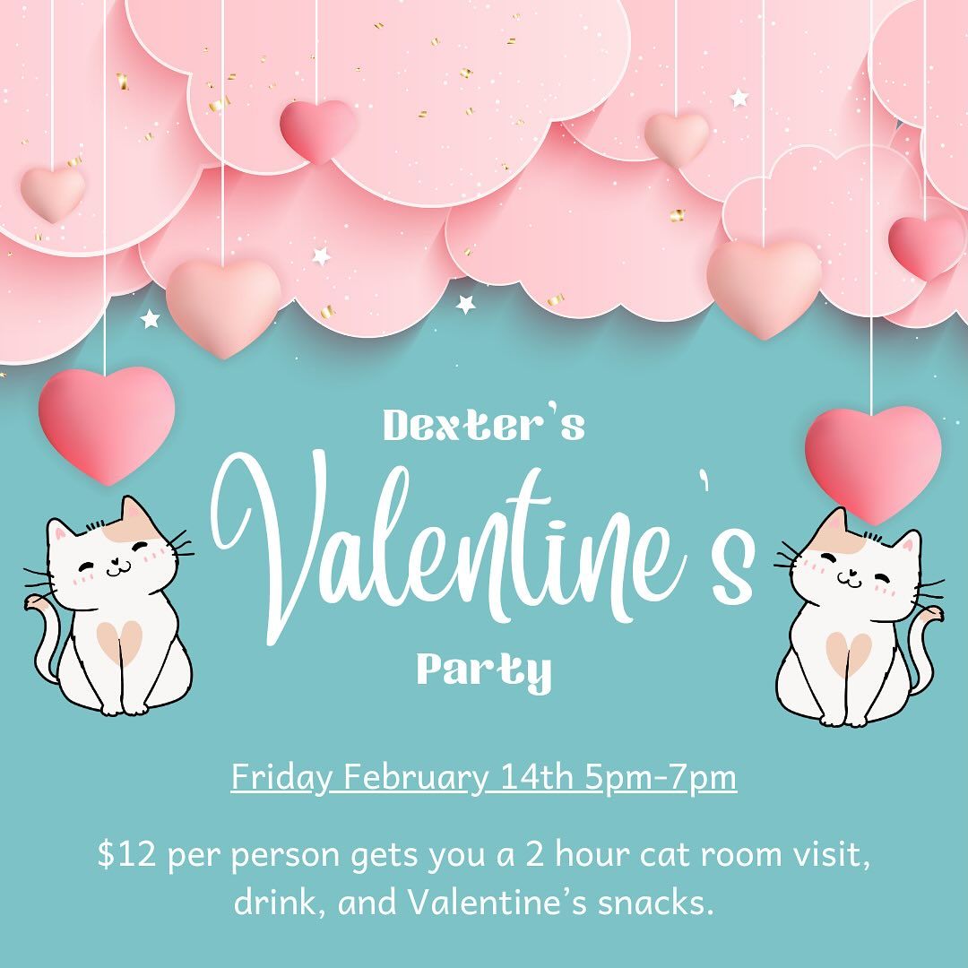 Dexter\u2019s Valentine\u2019s Day Party