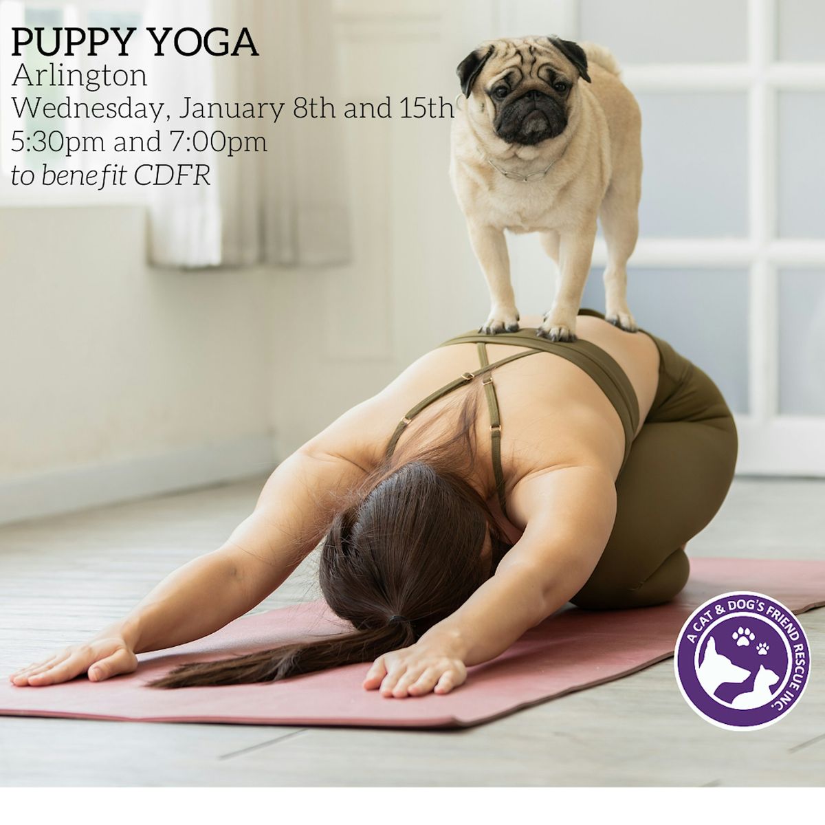 Puppy Yoga  in Arlington