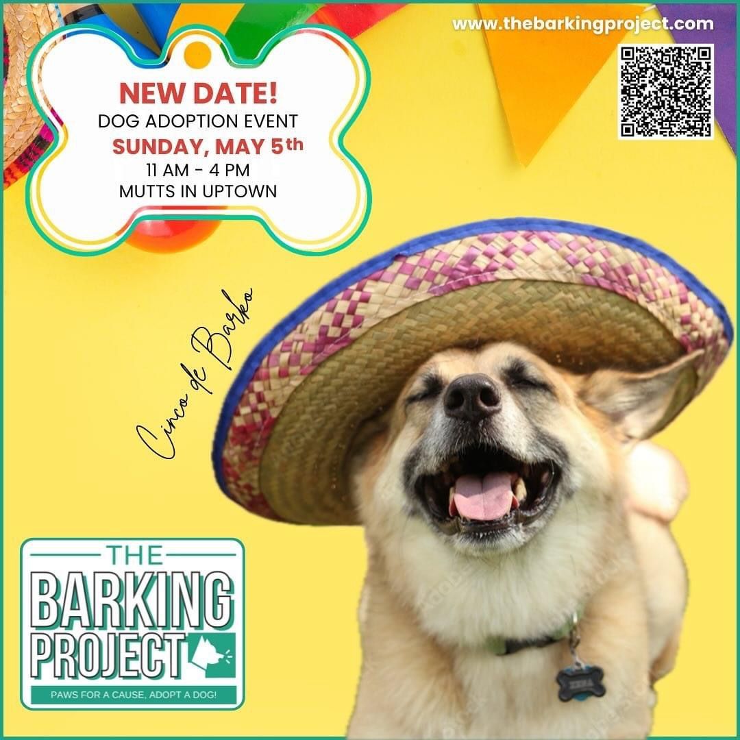 The Barking Project Adoption Event