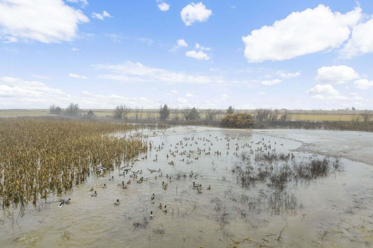 N.E. OKLAHOMA DUCK HUNTS