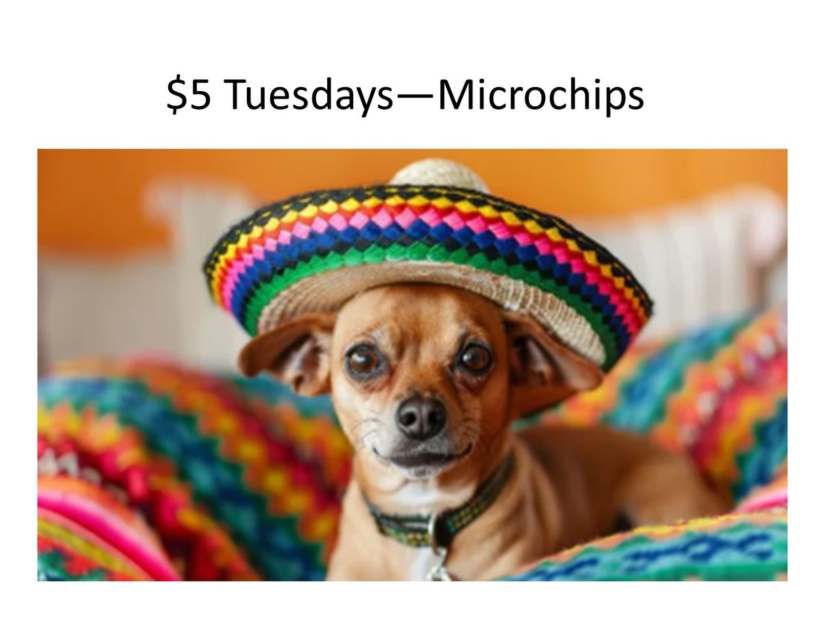 $5 Microchip TUESDAY!