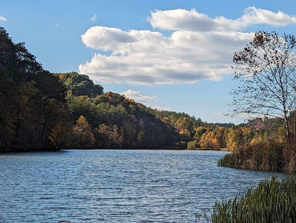 Stroud's Run State Park Paintout, Athens, Ohio