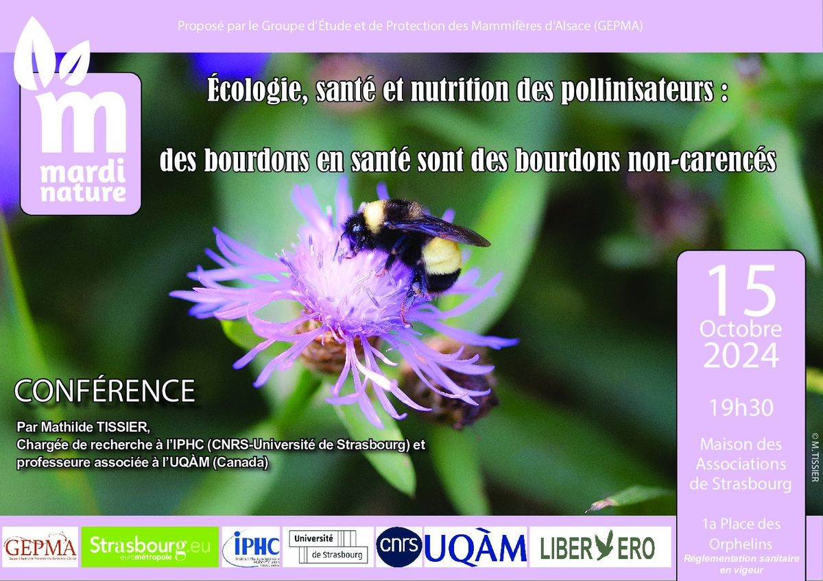 Conf\u00e9rence Mardi Nature : \u00c9cologie, sant\u00e9 et nutrition des pollinisateurs