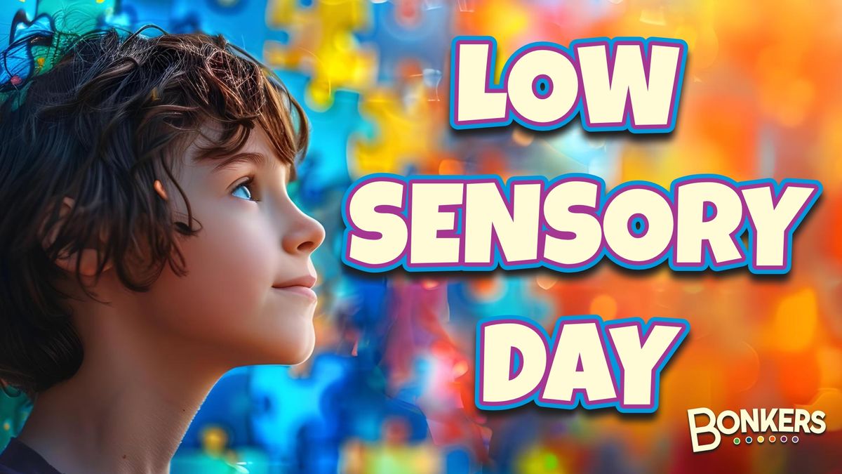 Low Sensory Day @ Bonkers!
