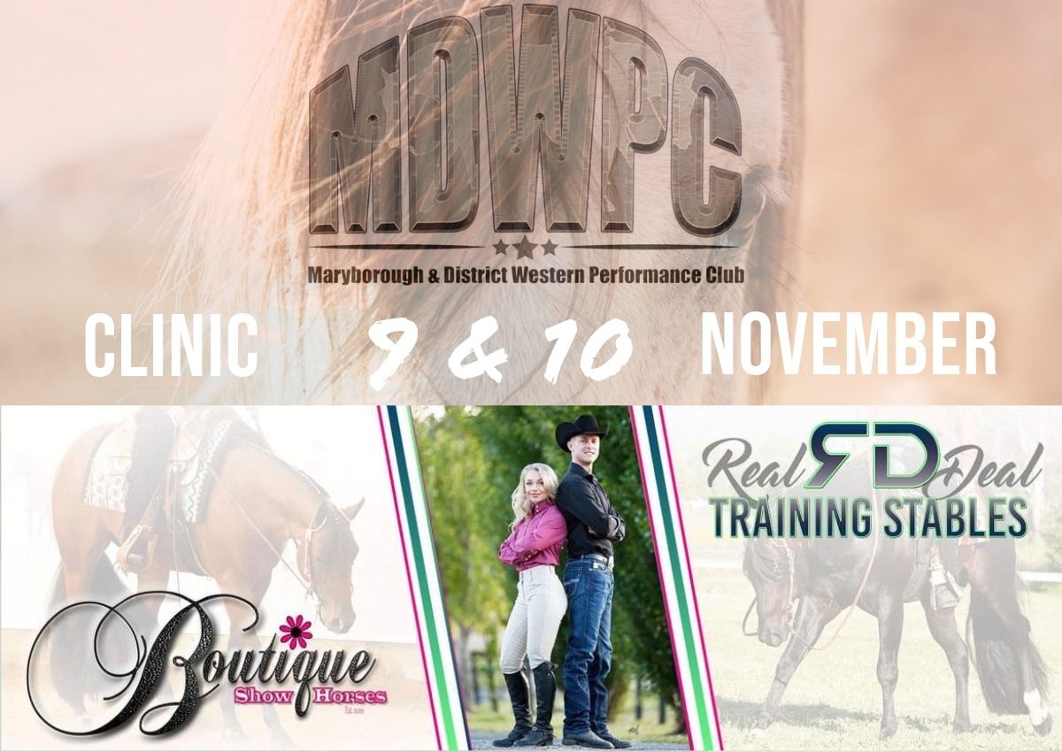 MDWPC Inc November 2024 with Boutique Show Horses and Real Deal Training Stables