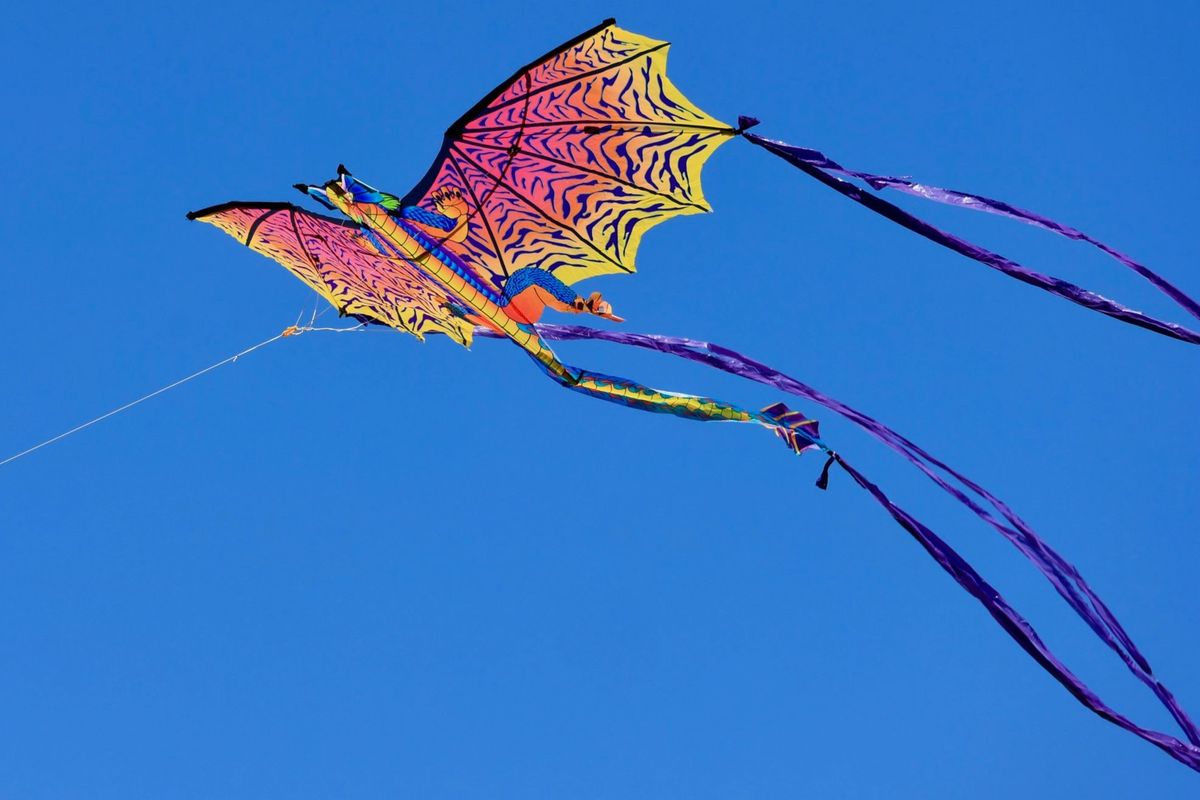 Free Family Kite Festival