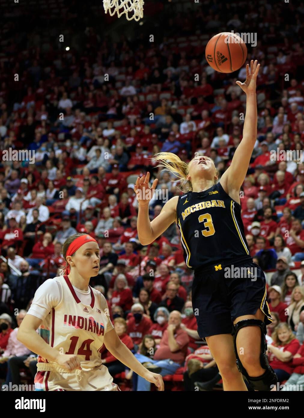 Michigan Wolverines Women's Basketball vs. Indiana Hoosiers