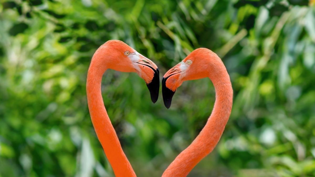 Valentinstag-Tour