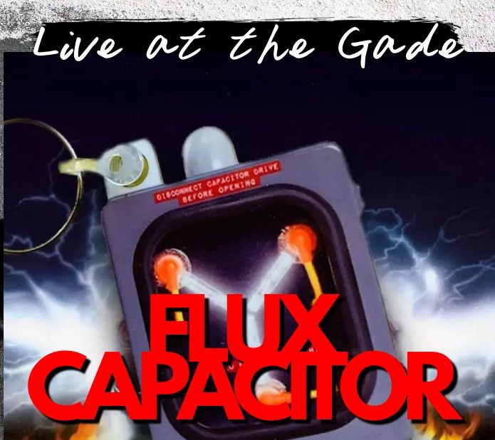 Christmas party night with Flux Capacitor