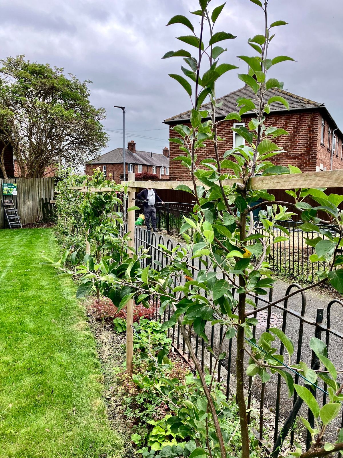 The Big Community Garden Opening Event! 