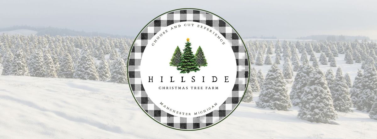 Hillside Christmas Tree Farm Opening Weekend