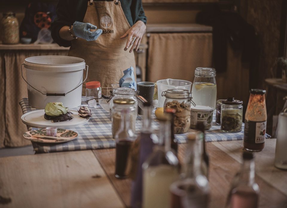 Fermentation and Gut Health Workshop