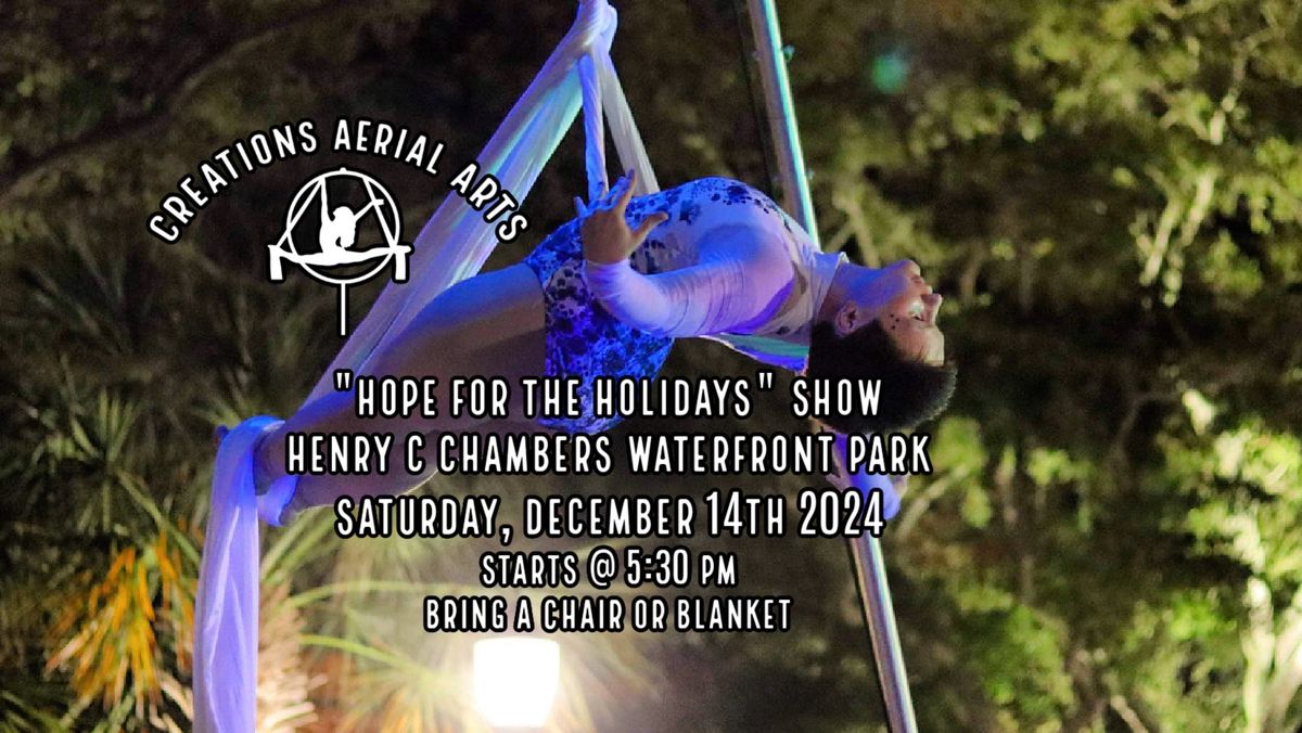 "Hope For The Holidays" Aerial Arts Show!