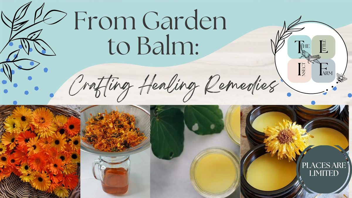 From Garden to Balm: Crafting Healing Remedies