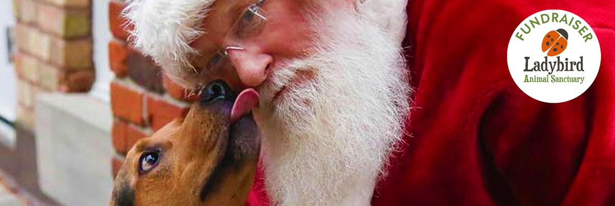 Pet Pics with Santa - Saturday Sessions